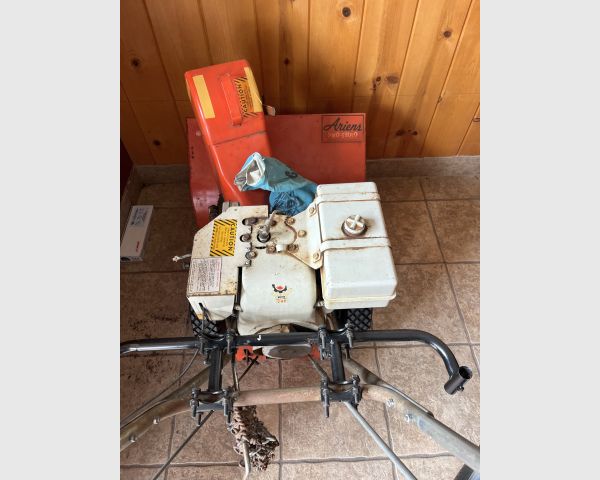 auction image