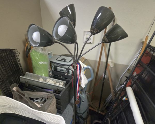 Auction listing photo
