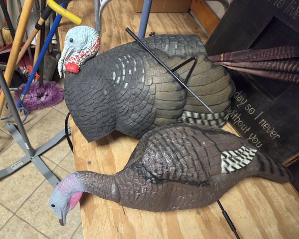 Auction listing photo