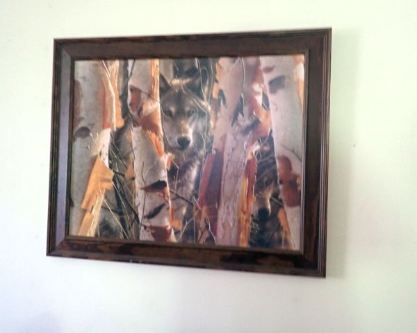 Auction listing photo