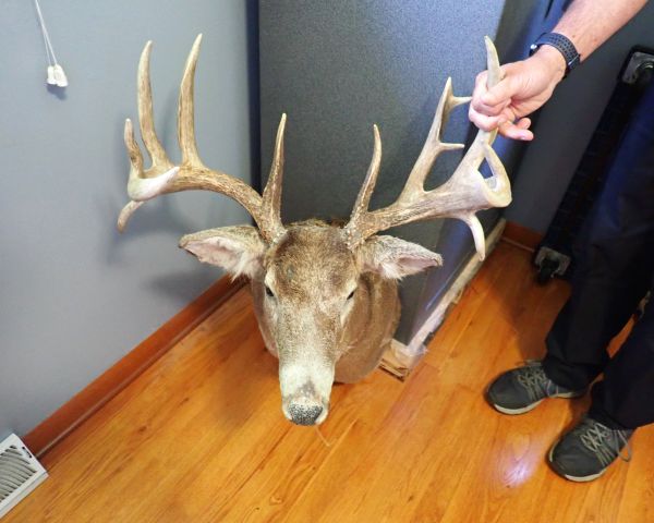 Auction listing photo
