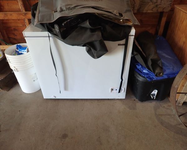 Auction listing photo