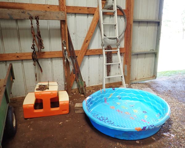Auction listing photo