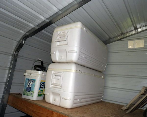 auction image