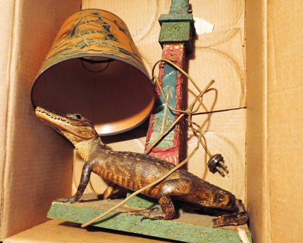 Auction listing photo