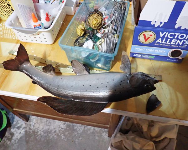 Auction listing photo