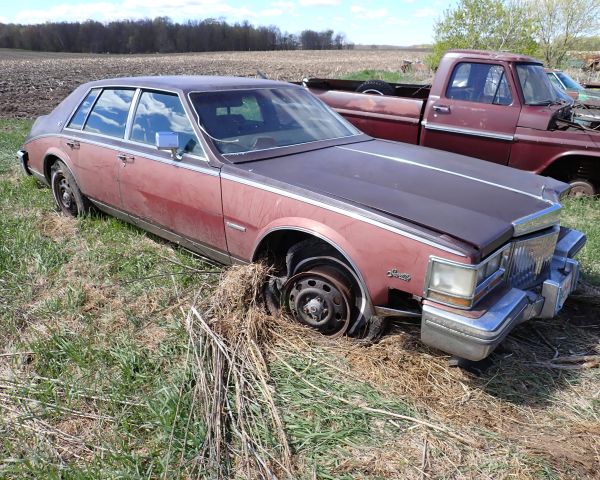 Auction listing photo