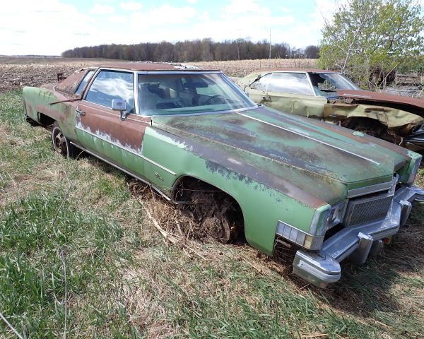 Auction listing photo