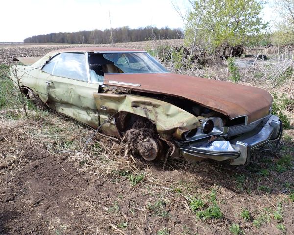 Auction listing photo