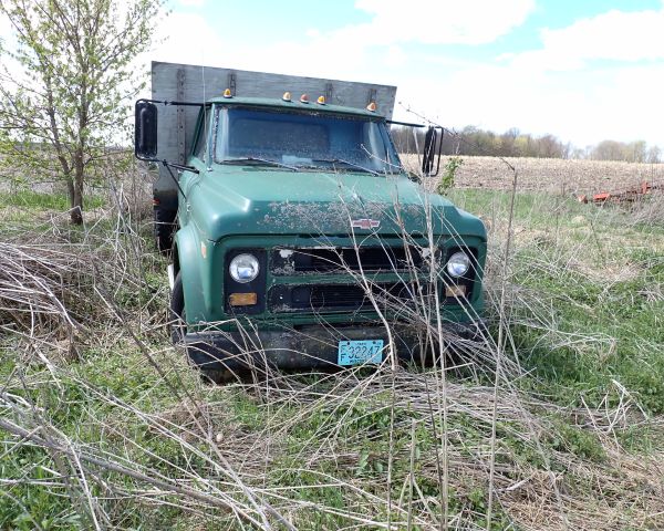 Auction listing photo