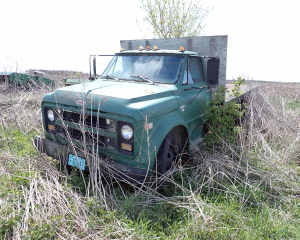 Auction listing photo