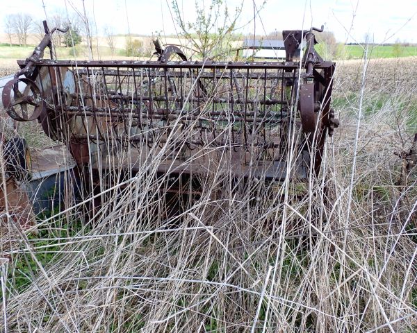 Auction listing photo