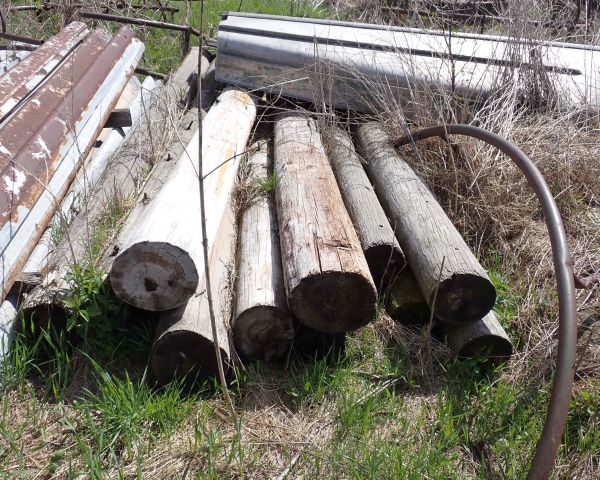 Auction listing photo