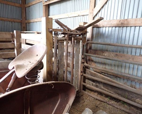 Auction listing photo