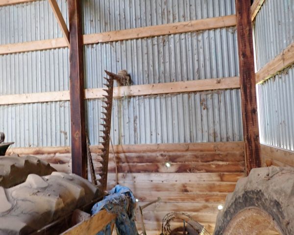 Auction listing photo