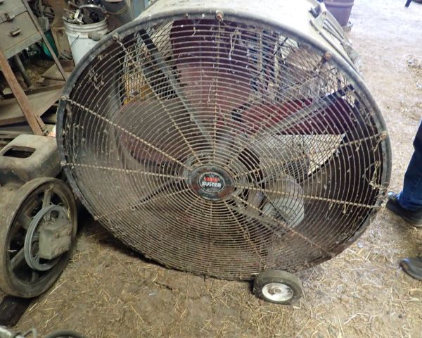 Auction listing photo