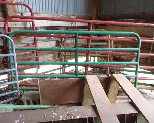 Auction listing photo