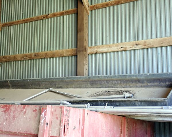 Auction listing photo