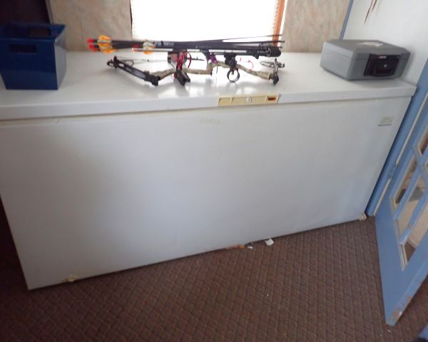 Auction listing photo