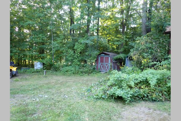 Auction listing photo