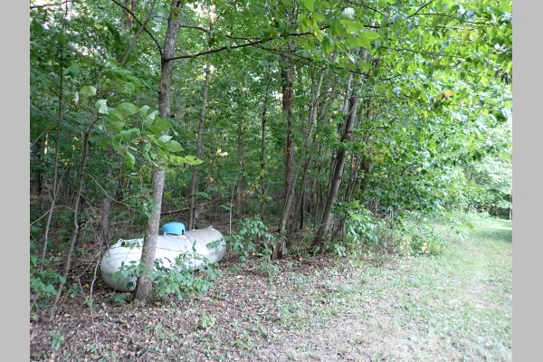 Auction listing photo