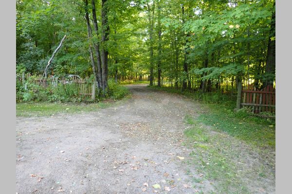 Auction listing photo
