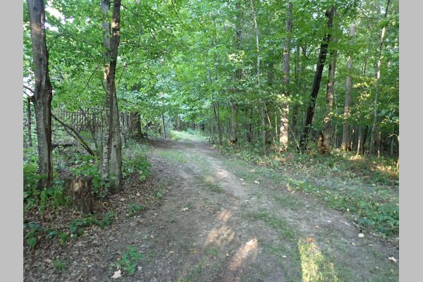 Auction listing photo