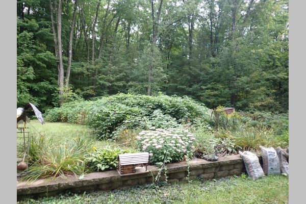 Auction listing photo