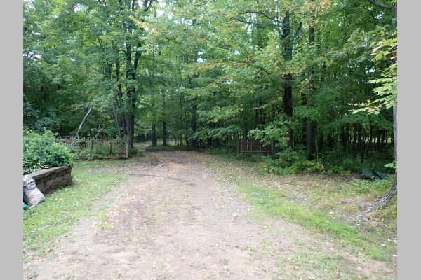 Auction listing photo