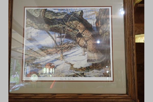 Auction listing photo