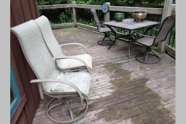 Auction listing photo