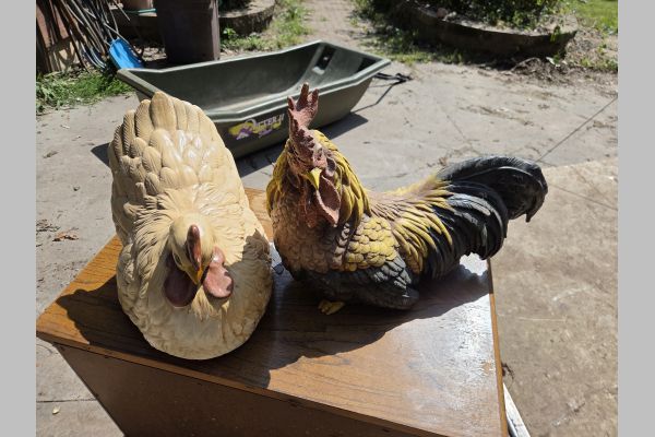 Auction listing photo