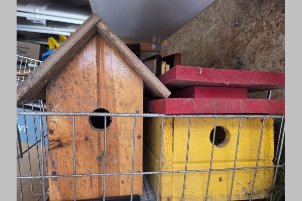 Auction listing photo