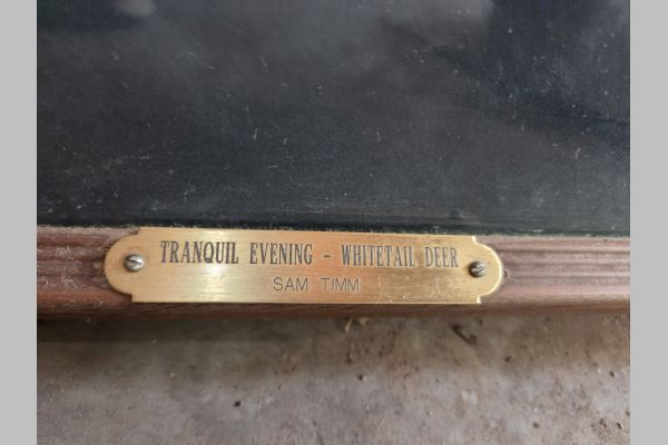 Auction listing photo