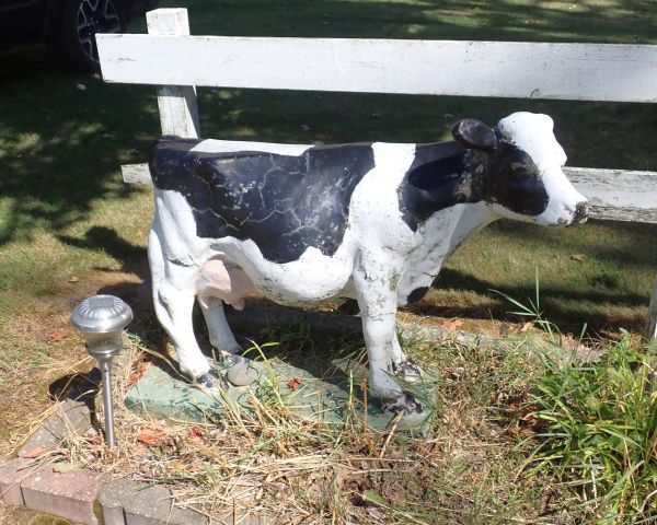Auction listing photo