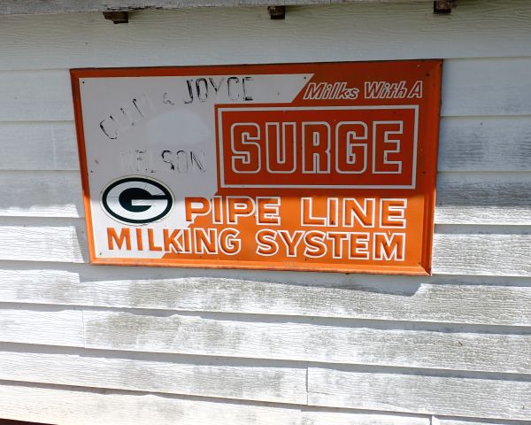 Auction listing photo