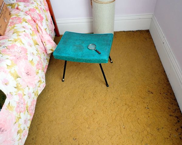 Auction listing photo