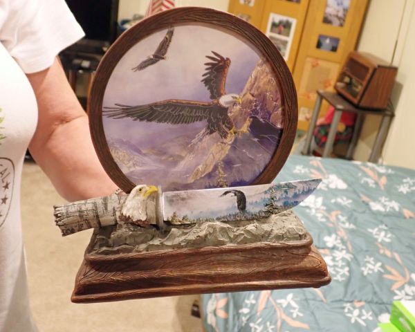Auction listing photo