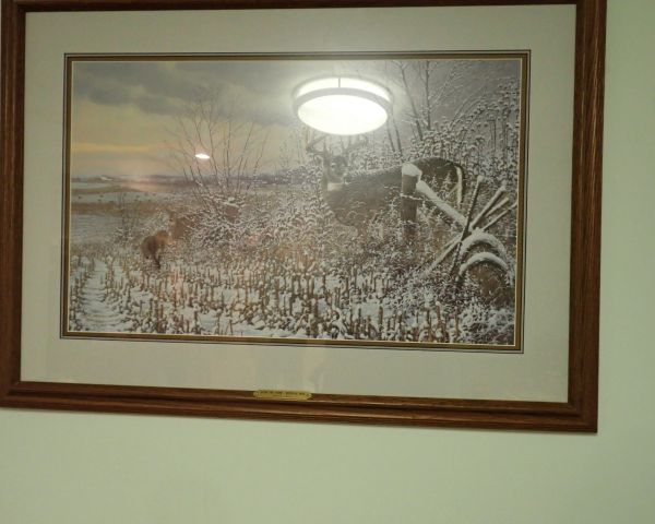 Auction listing photo