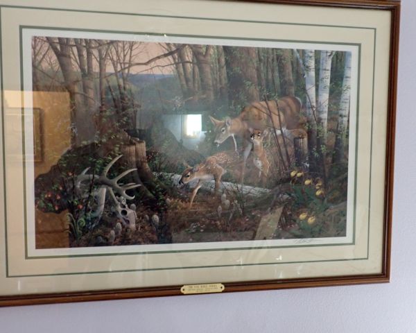 auction image