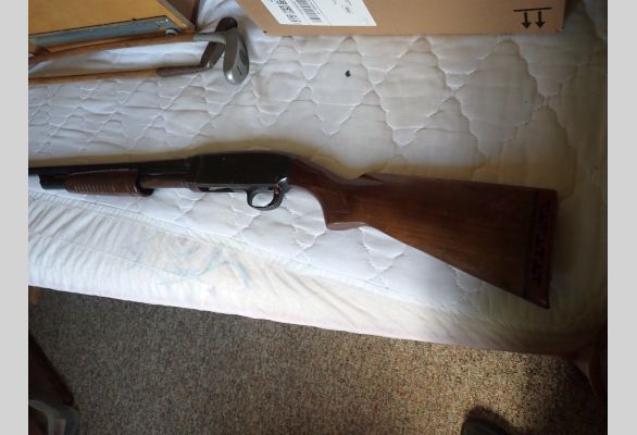Auction listing photo