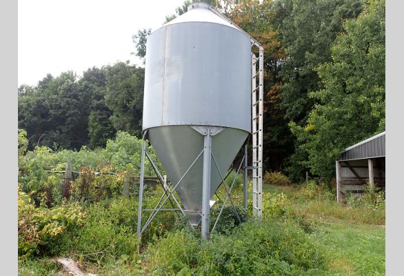 Auction listing photo