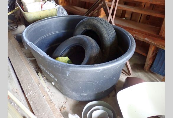 Auction listing photo