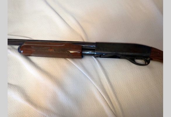 Auction listing photo