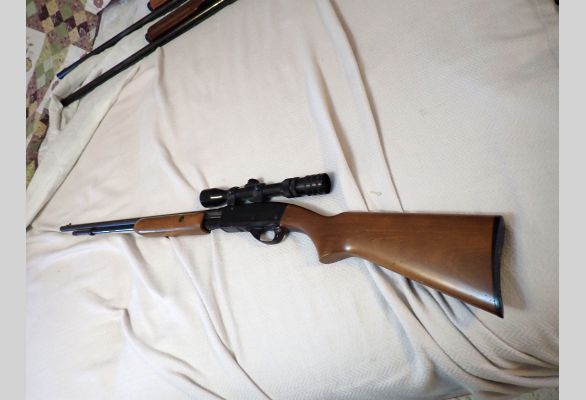 Auction listing photo