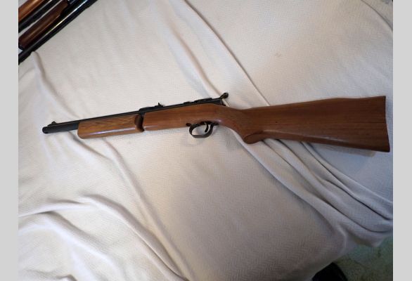 Auction listing photo