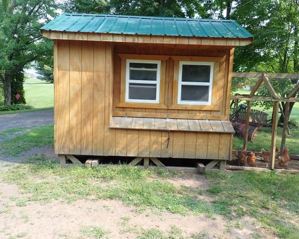 Auction listing photo