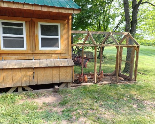 Auction listing photo