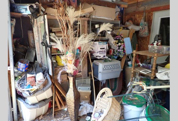 Auction listing photo