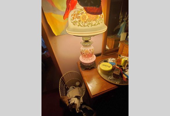 Auction listing photo